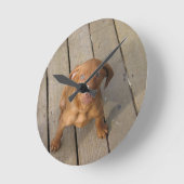 Horloge Ronde chiot vizsla (Angle)