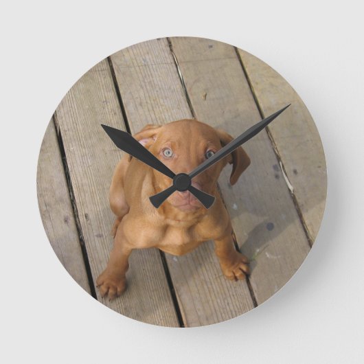 Horloge Ronde chiot vizsla (Recto)