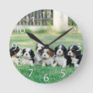 Horloge Ronde Chiots cavaliers d'épagneul du Roi Charles
