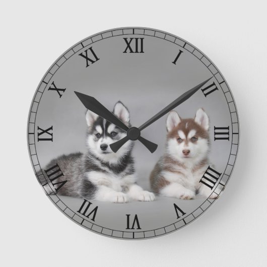 Horloge Ronde Chiots de chien de traîneau sibérien (Recto)
