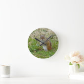 Horloge Ronde Chipmunk oriental (Maison)