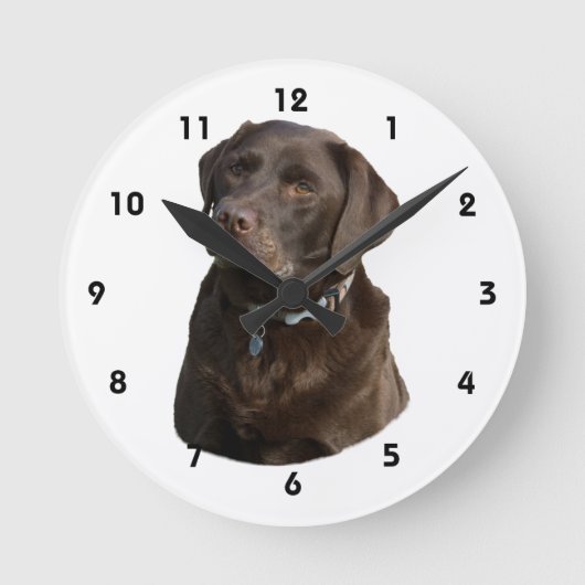 Horloge Ronde Chocolate Labrador dog photo (Recto)