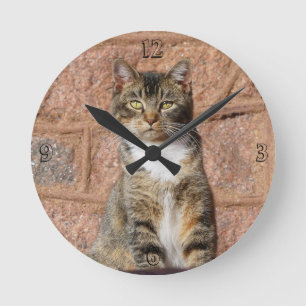 Horloge Ronde Church Cat