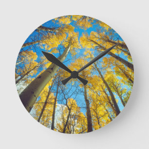 Horloge Ronde Chute d'Aspen trees 2