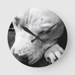 Horloge Ronde cicatrice de harry potter chien pit bull blanc
