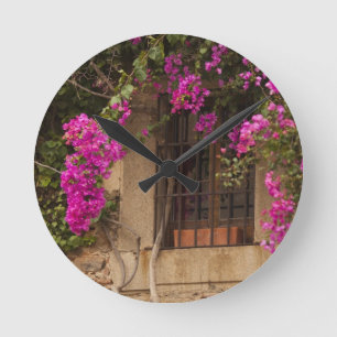Horloge Ronde Ciudad Monumental, bâtiments couverts de fleurs