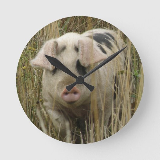 Horloge Ronde Clock Cute Pig (Recto)