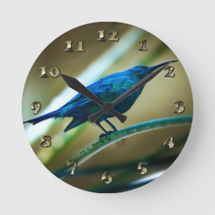 Horloge Ronde Closeuse perché de Sunbird de Malachite
