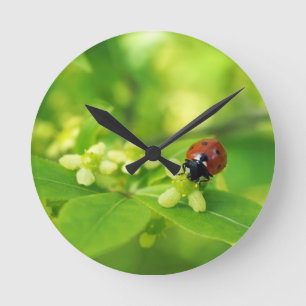 Horloge Ronde Coccinelle rouge