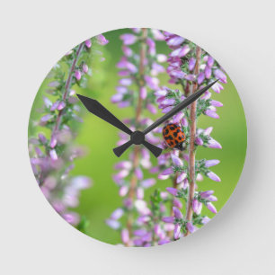 Horloge Ronde Coccinelle sur fleur violette -