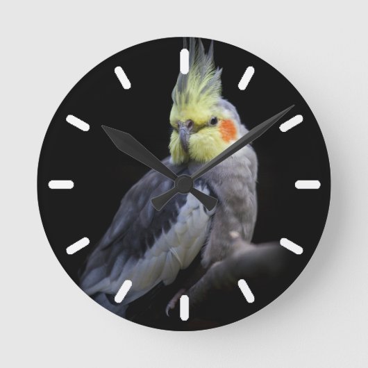 Horloge Ronde Cockatiel Clock 2 (Recto)