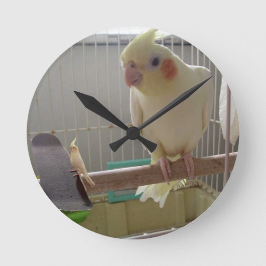Horloge Ronde Cockatiel Fun (Recto)