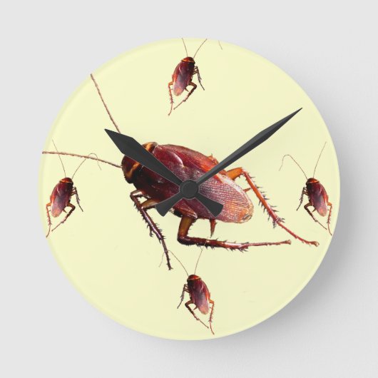 Horloge Ronde Cockroach croquant (Recto)
