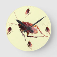 Cockroach croquant