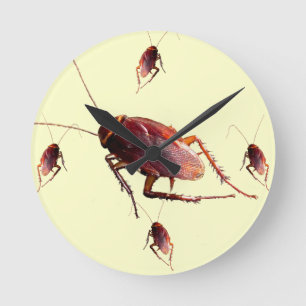 Horloge Ronde Cockroach croquant