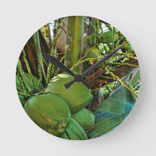 Horloge Ronde Coconuts Island Palm Tree Caraïbes USVI