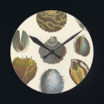 Horloge Ronde Collection de conchyliologie<br><div class="desc">Si vous ne pouvez pas obtenir à la plage aujourd'hui, obtenez cette image classique de style de cette image unique de la vie marine par Albertus Seba ! Imaginez-vous sur une plage découvrant les actinies que la nature doit offrir. Ces coquillages et plantes de mer par l'océan est entourés par...</div>