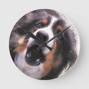 HORLOGE RONDE COLLIE FRONTALIÈRE