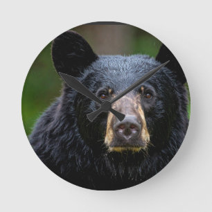 Horloge Ronde Conception de la nature sauvage de l'ours noir