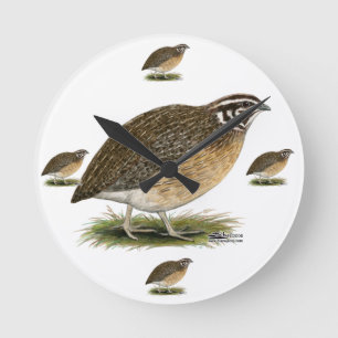 Horloge Ronde Coturnix Pharaoh