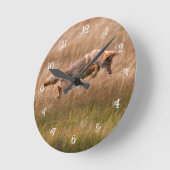 Horloge Ronde Coyote sautant - prés de gibbon (Angle)