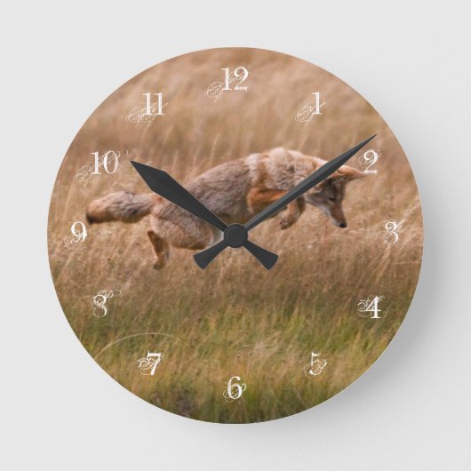 Horloge Ronde Coyote sautant - prés de gibbon (Recto)