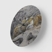 Horloge Ronde Crabe, Crustacé, Sable (Angle)