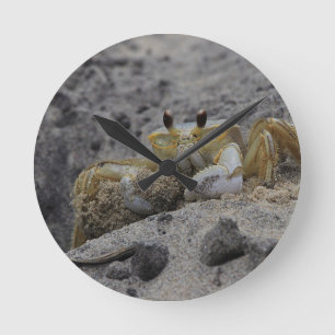 Horloge Ronde Crabe, Crustacé, Sable