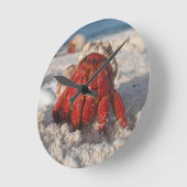 Horloge Ronde Crabe hermite (Angle)