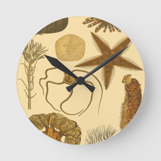 Horloge Ronde Créatures sous-marines (Recto)