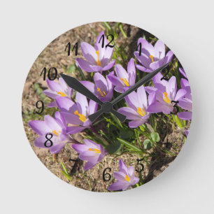 Horloge Ronde Crocus de printemps mignons