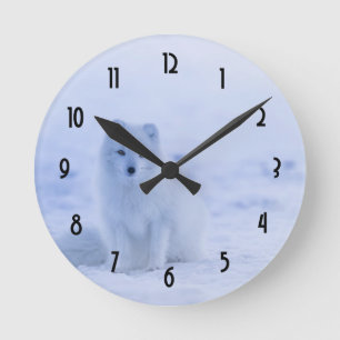 Horloge Ronde Cute Arctic Fox sur Snowy Winter Arrière - plan