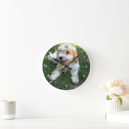 HORLOGE RONDE CUTE CAVAPOO PUPPY (Maison)