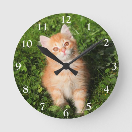 Horloge Ronde Cute Fluffé Orange Tabby Chat Kitten (Recto)