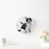 Horloge Ronde Cute Funny furry kitten black and white cat (Maison)