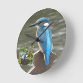 Horloge ronde Cute Kingfisher (Angle)