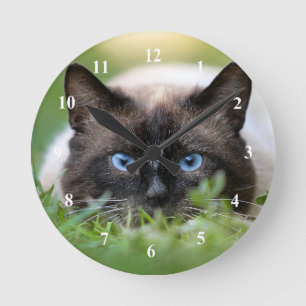Horloge Ronde Cute Siamese Photo de chat