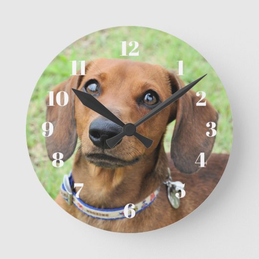 Horloge Ronde Dachshund (Recto)