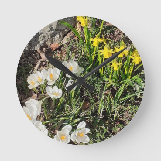 Horloge Ronde Daffodils et Crocus Clock (Recto)