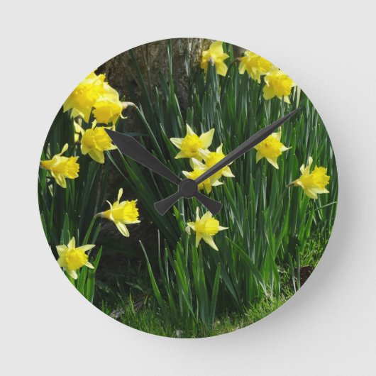 Horloge Ronde Daffodiques de printemps (Recto)