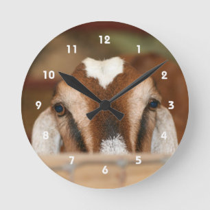Horloge Ronde Daine de Nubian jetant un coup d'oeil au-dessus du