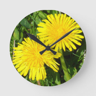 Horloge Ronde Dandelions