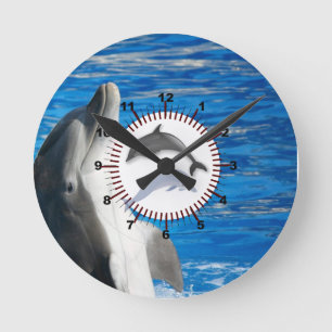 Horloge Ronde Dauphin Mignon Plage Paix Amour Fête Destinée