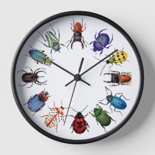 Horloge ronde des coléoptères