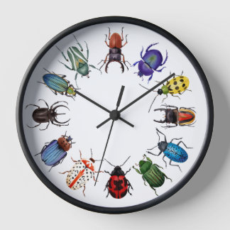 Horloge ronde des coléoptères