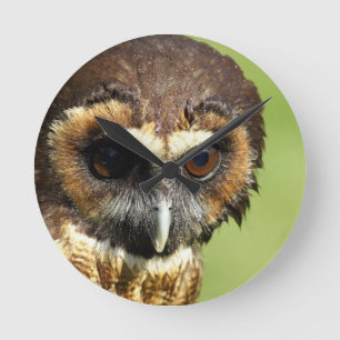 Horloge Ronde Destin animal d'harmonie d'arbre de parc naturel d