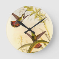 Deux colibris colorés visant pour la même fleur