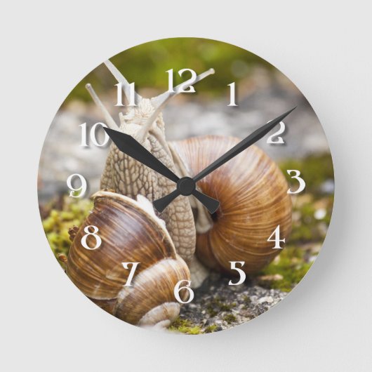 Horloge Ronde Deux escargots (Recto)