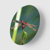 Horloge Ronde Dragonfly frontale rouge et noire (Angle)
