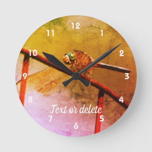 Horloge Ronde Dragonfly on Wire Fence Abstract (Recto)